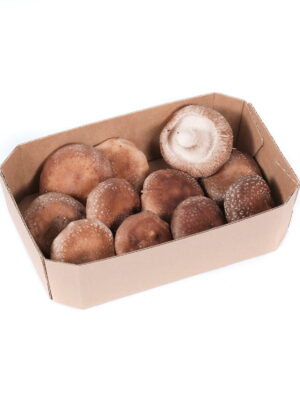 SHIITAKE op.200g