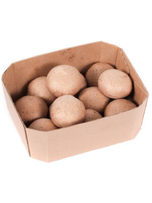 PIECZARKA BRĄZOWA op.250g